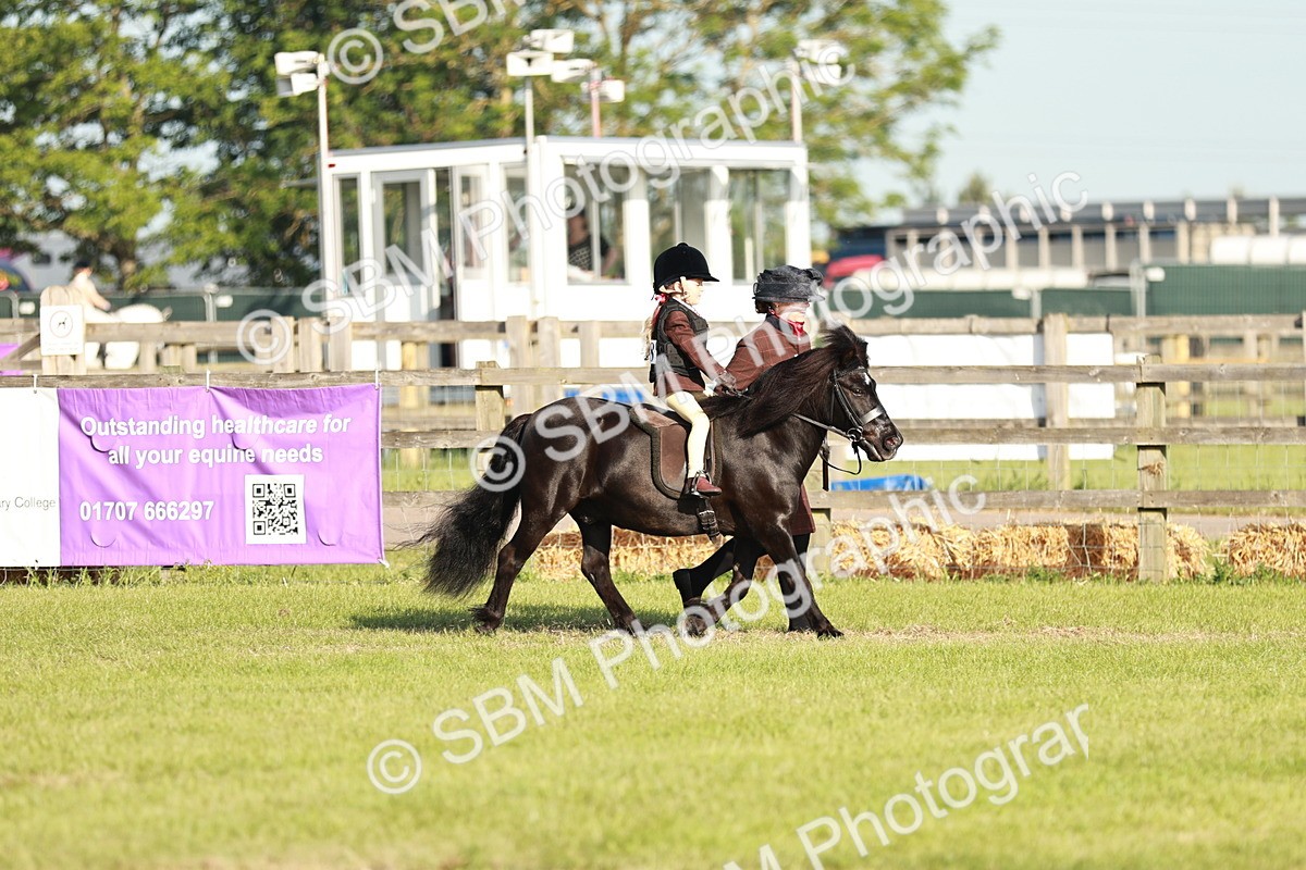 SBM_11017 - Class 106-107 - BSPS LIHS Working Sports Pony