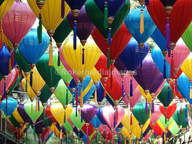 CHINA__0241 - China 2019