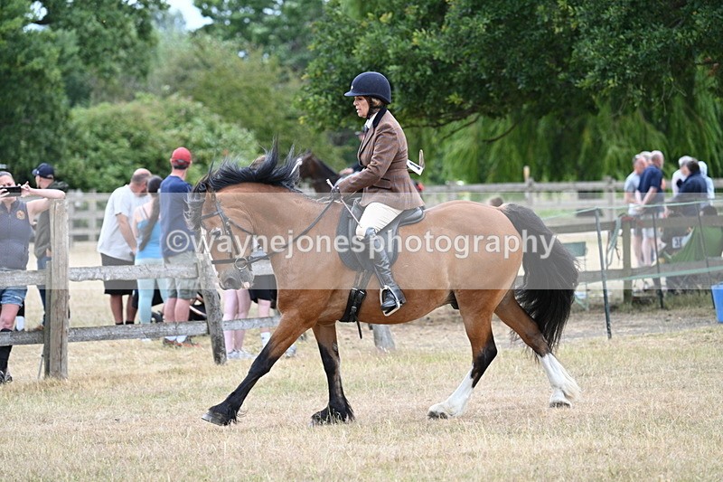 WJ7_0578 - Class 6 Ridden Mountain and Moorland