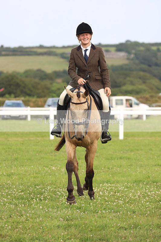 JPP_4507 - Class 26: Working Hunter 1m