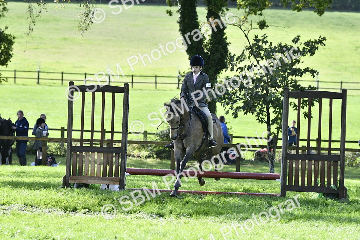 SBM_38243 - S31 - Novice & Newcomer Working Hunter Pony
