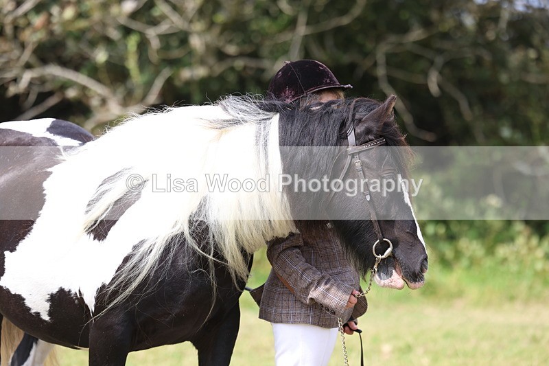 3E7A5396 - Class 19: Best Coloured in Hand