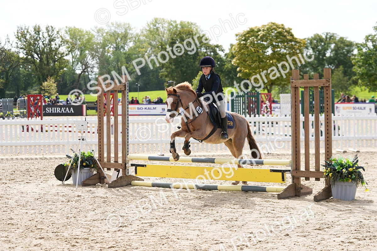 SBM_40751 - Supreme Championship Pony 50-55cm