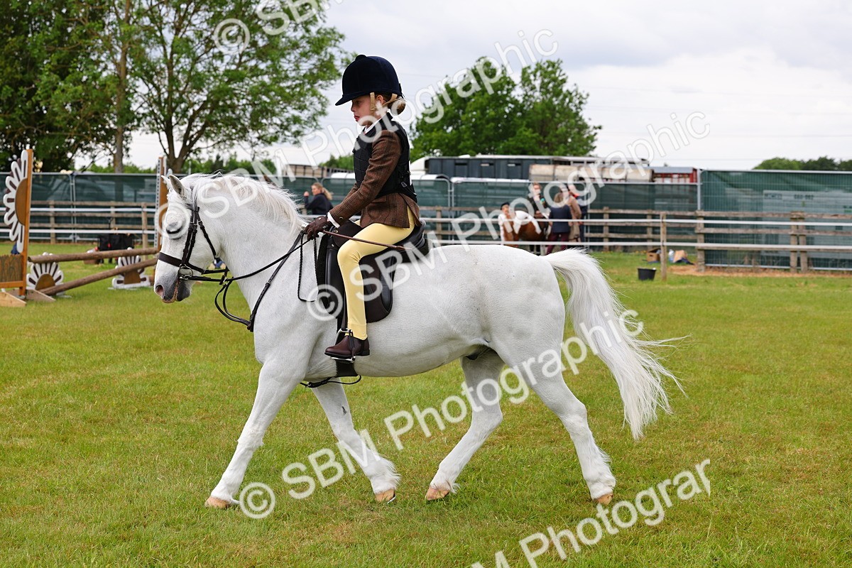 SBM_08657 - Class 42-43 - LIHS BSPS Heritage Working Sports Pony