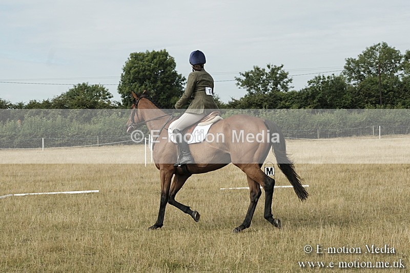 _PJP5635 - Dressage Classes BVRC Show 2018