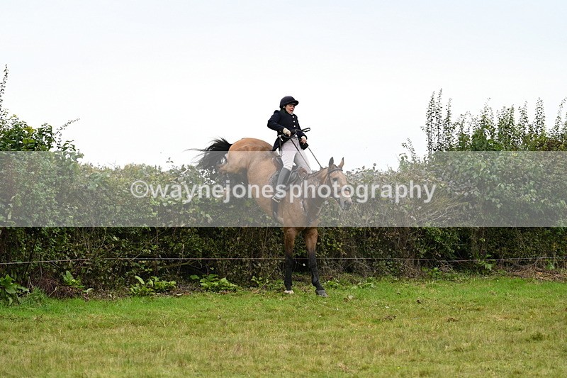 WJ7_4204 - Camera 1 Line 2