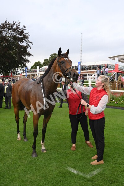 yr19082021r6-38 - Race 6 4.45pm British EBF & Sir Henry Cecil Galtres Stakes