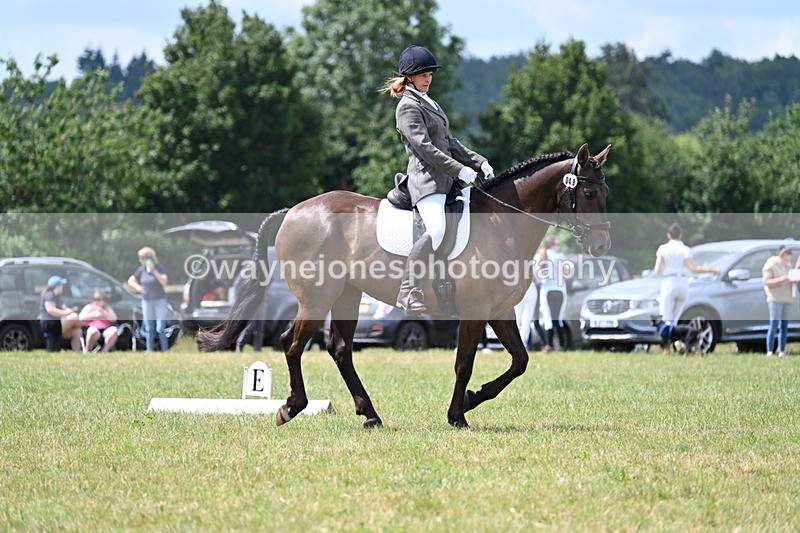 WJ7_4871 - Time 11:22 to 11:51