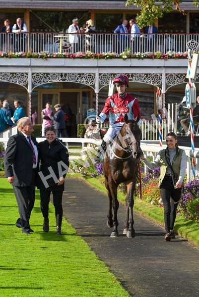 230923-Race 5-Vintage Clarets-6833 - Race 5 4.20pm Vickers.Bet Handicap
