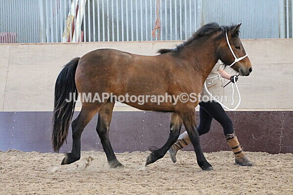 SIAL9408 - Indoor Classes