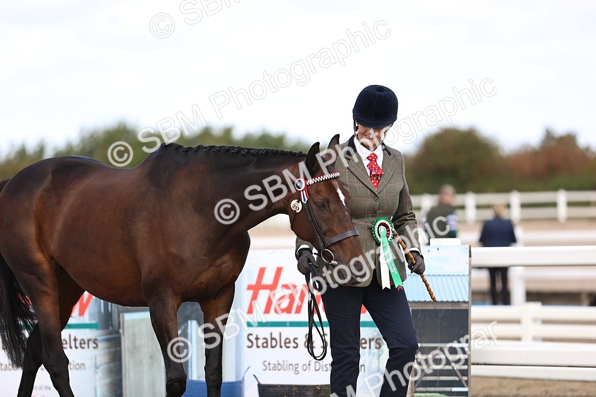 SBM_11573 - Class 407 - IH Hack-Riding Horse
