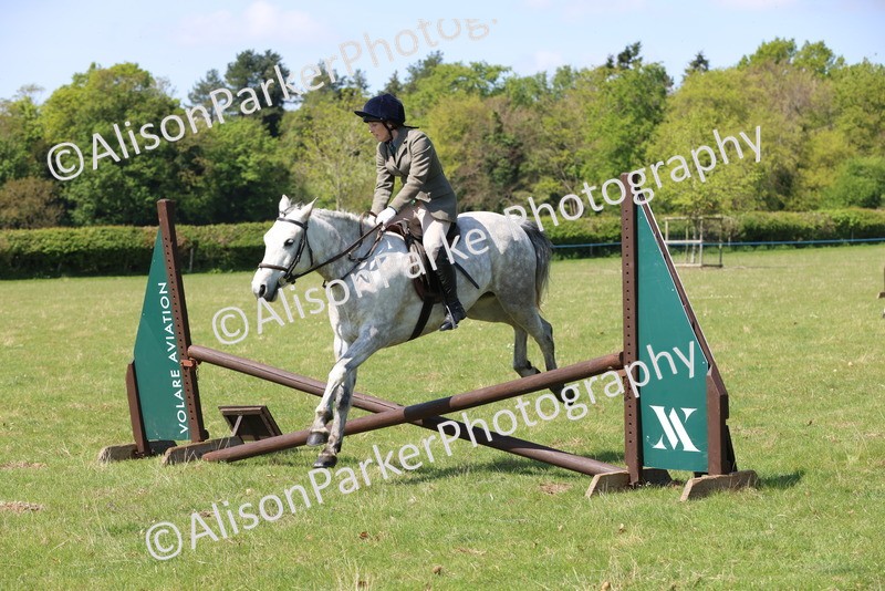 20250427-2593 - Class 20 - Working Hunter Ponies