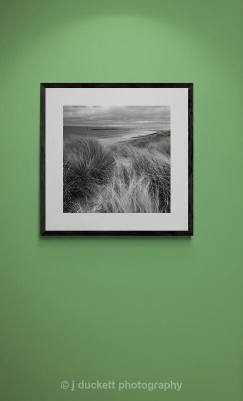 Coastal Grasses