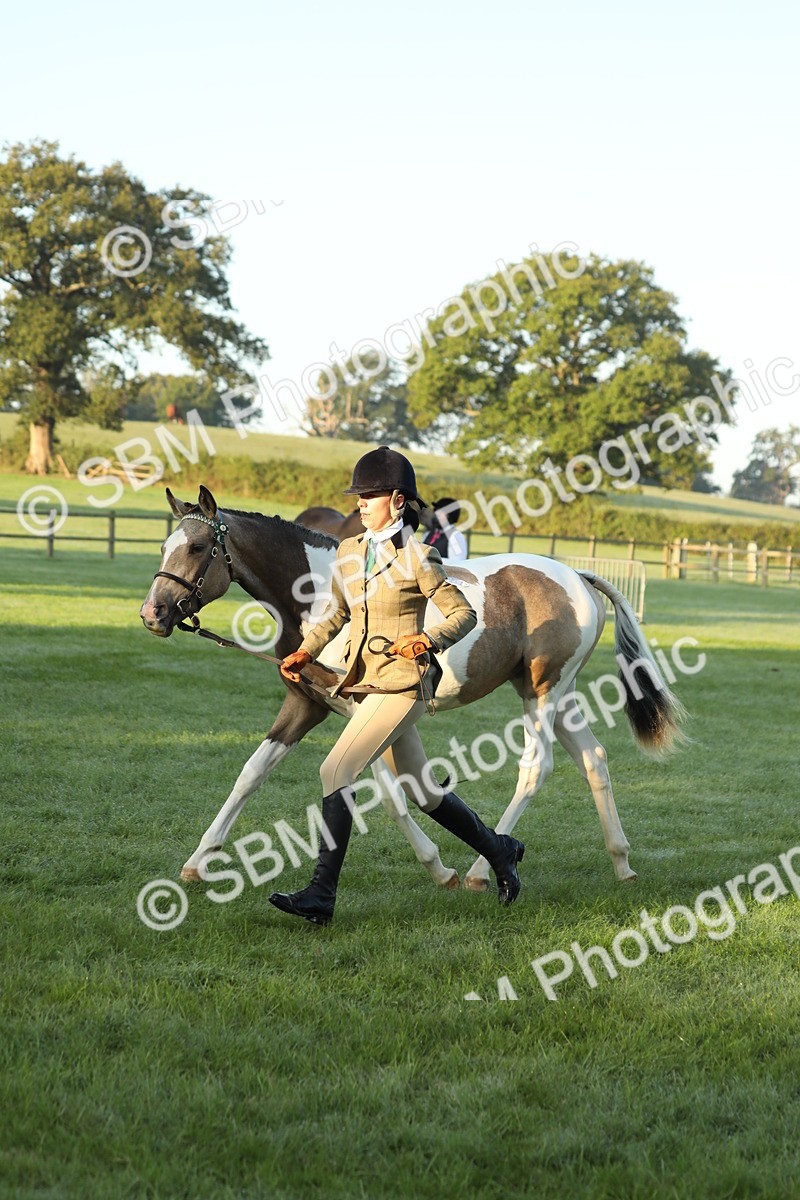 SBM_57831 - S42 - Youngstock