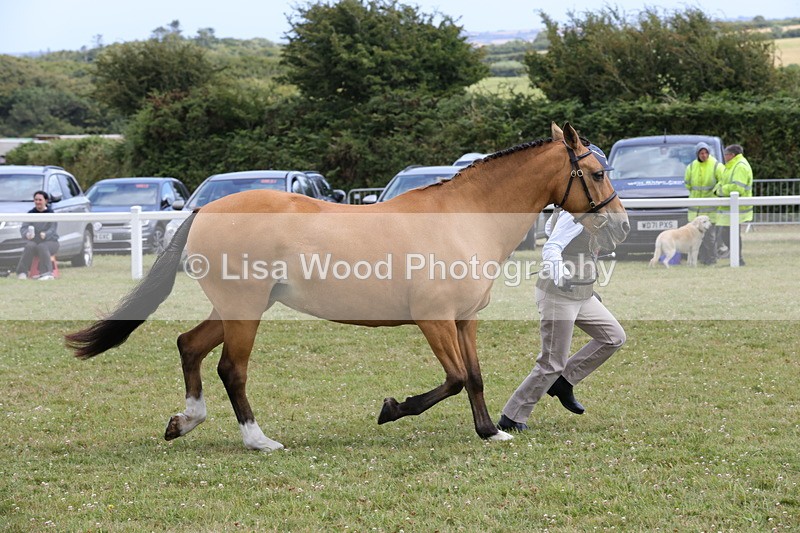1X9A4920 - Class 35: Veteran In Hand