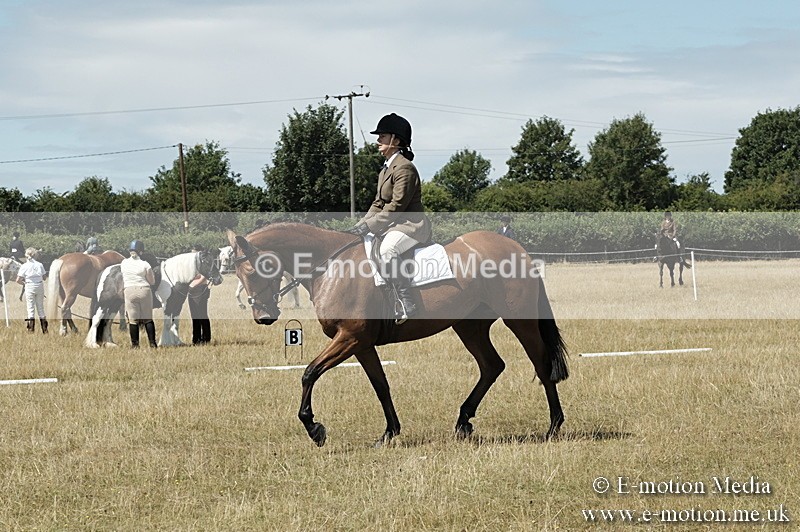 _PJP5843 - Dressage Classes BVRC Show 2018