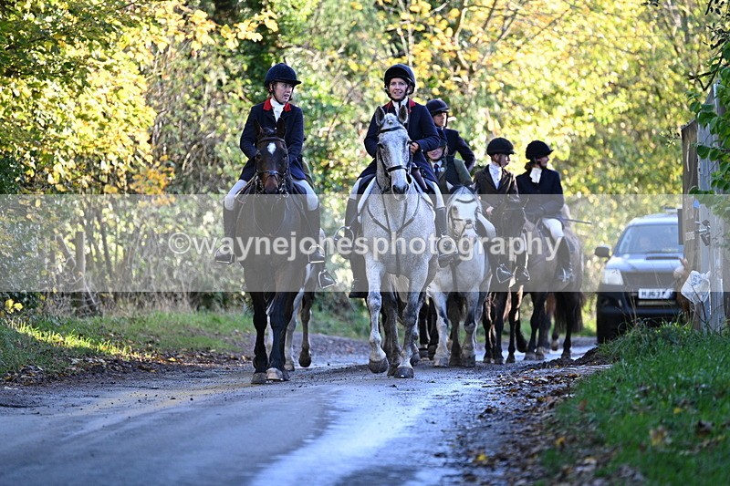 WJ7_8673 - Walk Home