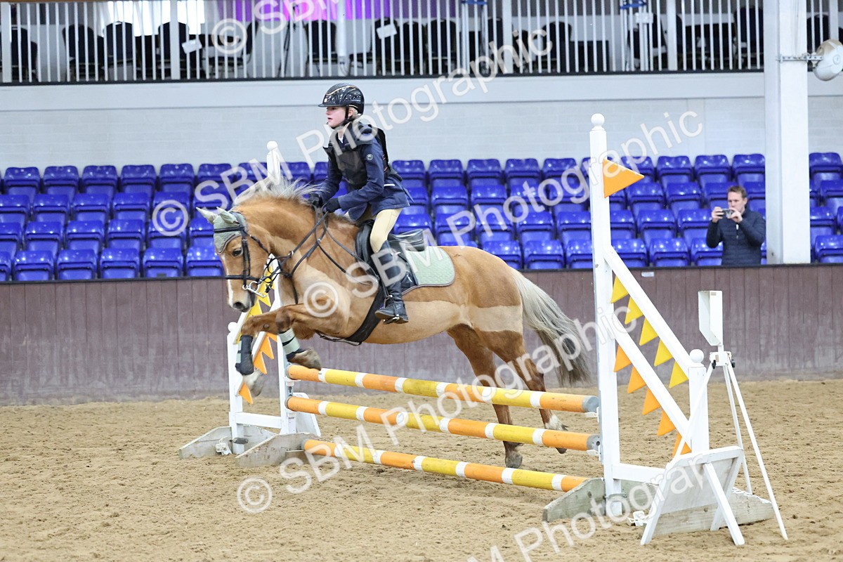 SBM_001002 - Class 3 - Christmas Tree Stakes - 60cm