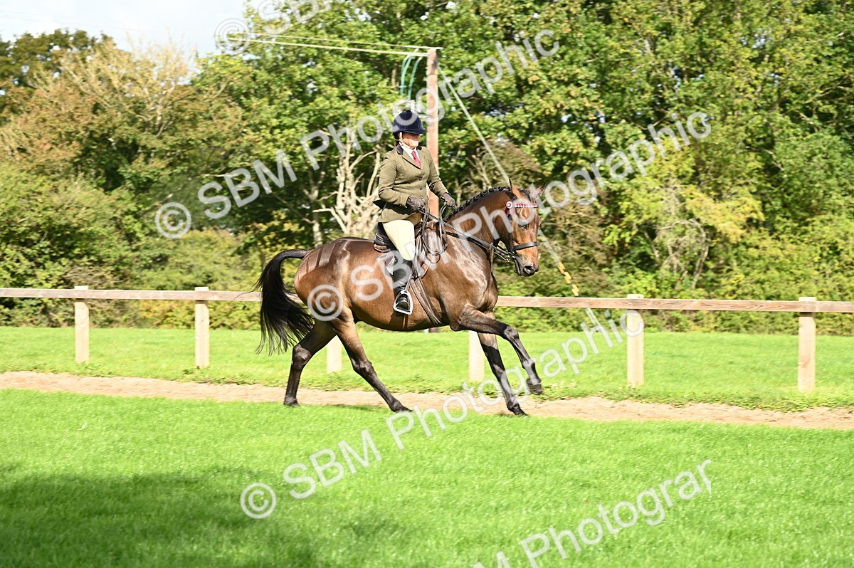 SBM_01779 - S2 - TSR Ridden Horse Showing