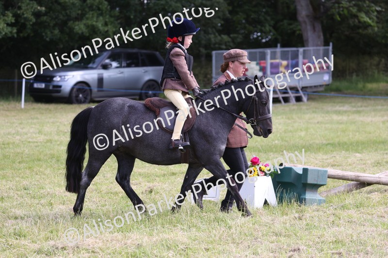 20260614-0603 - Class 20 - Beginners Working Hunter Pony