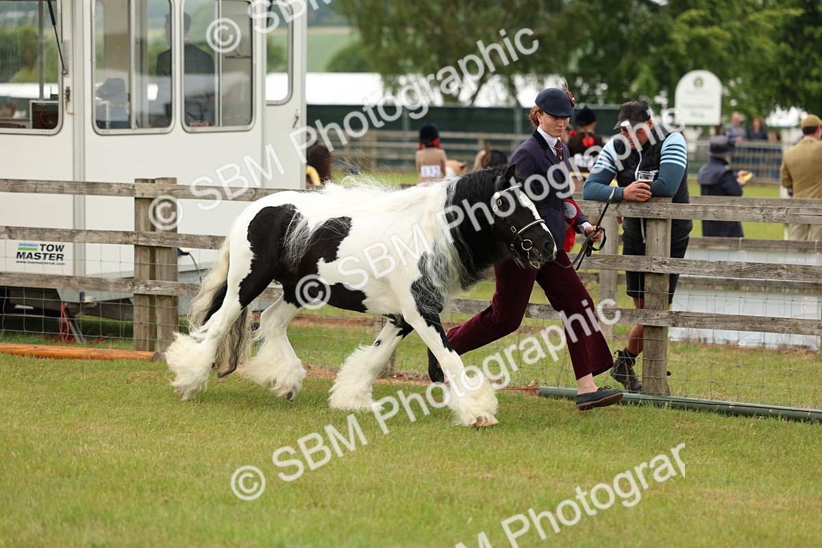 SBM_06270 - Class 39-41 TGCA In Hand and Ridden