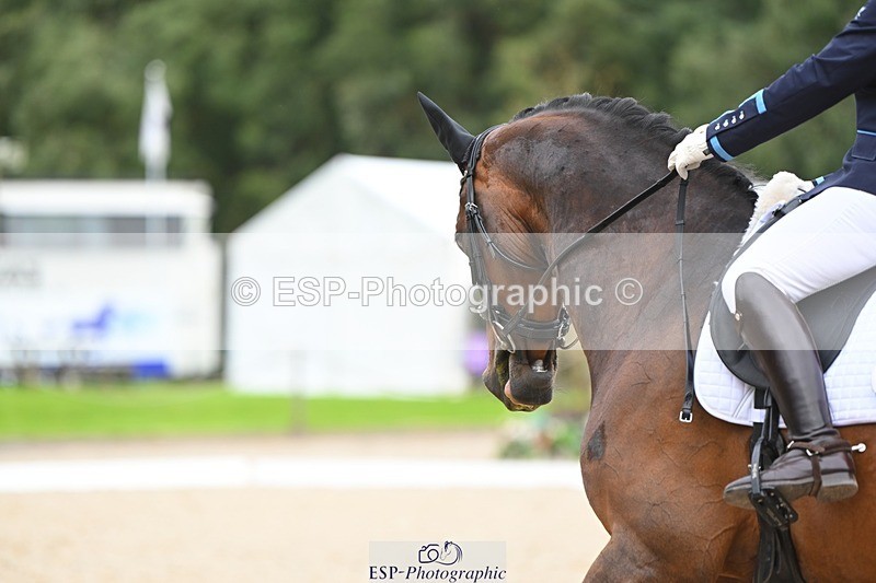 230813-170740-08571 - Cls 14 Medium Silver 16.45 to End