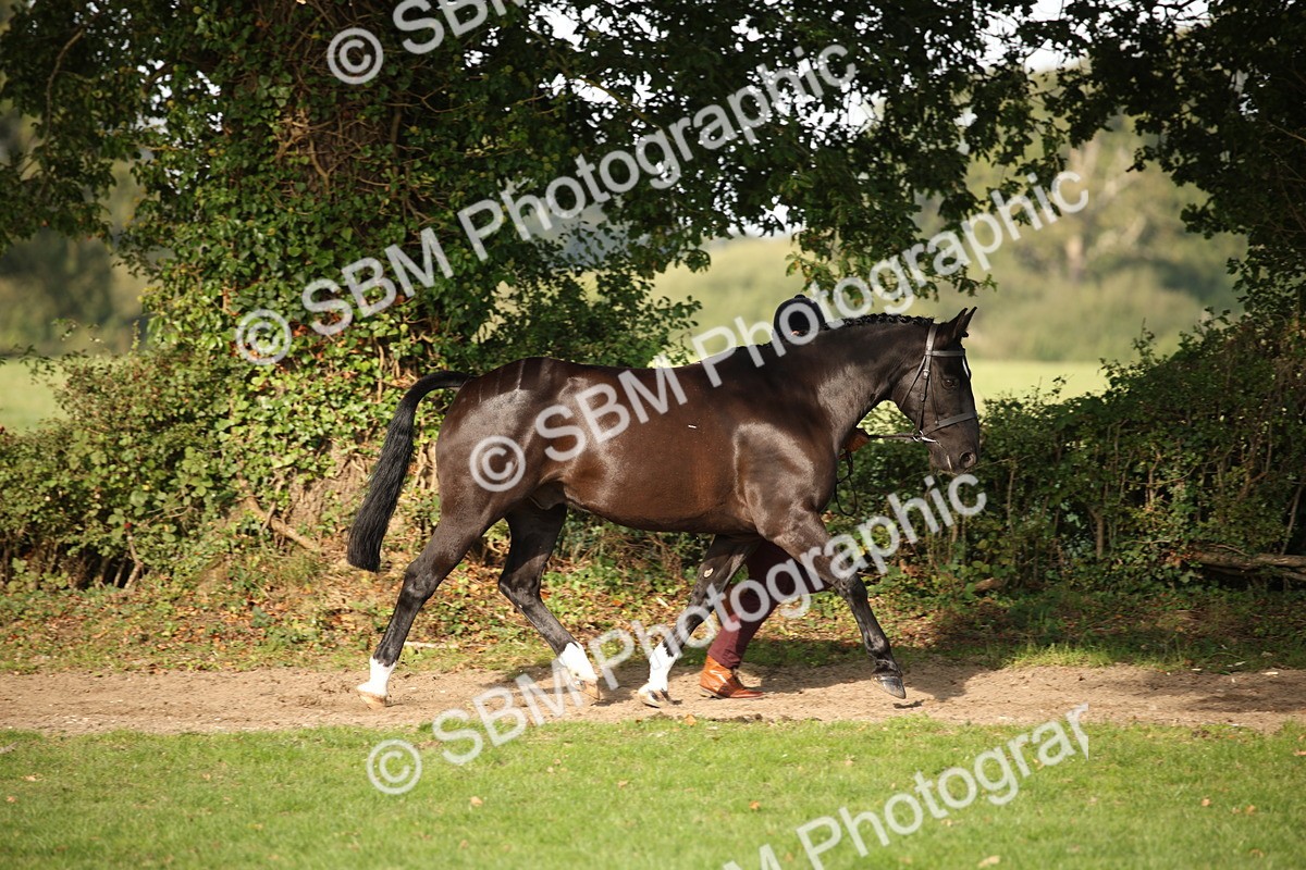 SBM_60071 - S53 - Hunter In Hand