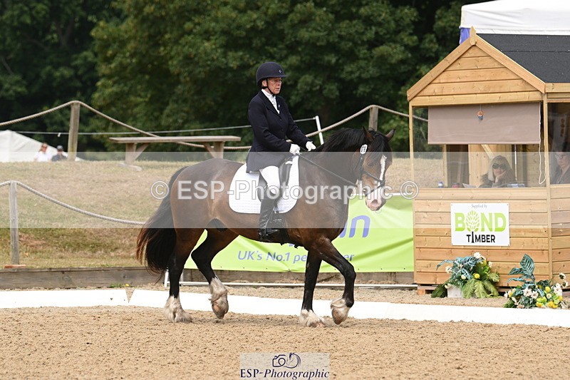 250720A-115845-10108 - 079-Amanda.Williams-Llanarth.Westminster