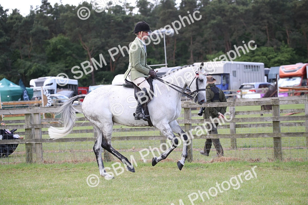 SBM_14183 - Class 113-114 - Retraining of Racehorses Ridden