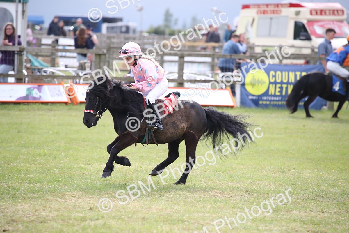 SBM_10203 - Dinky Derby