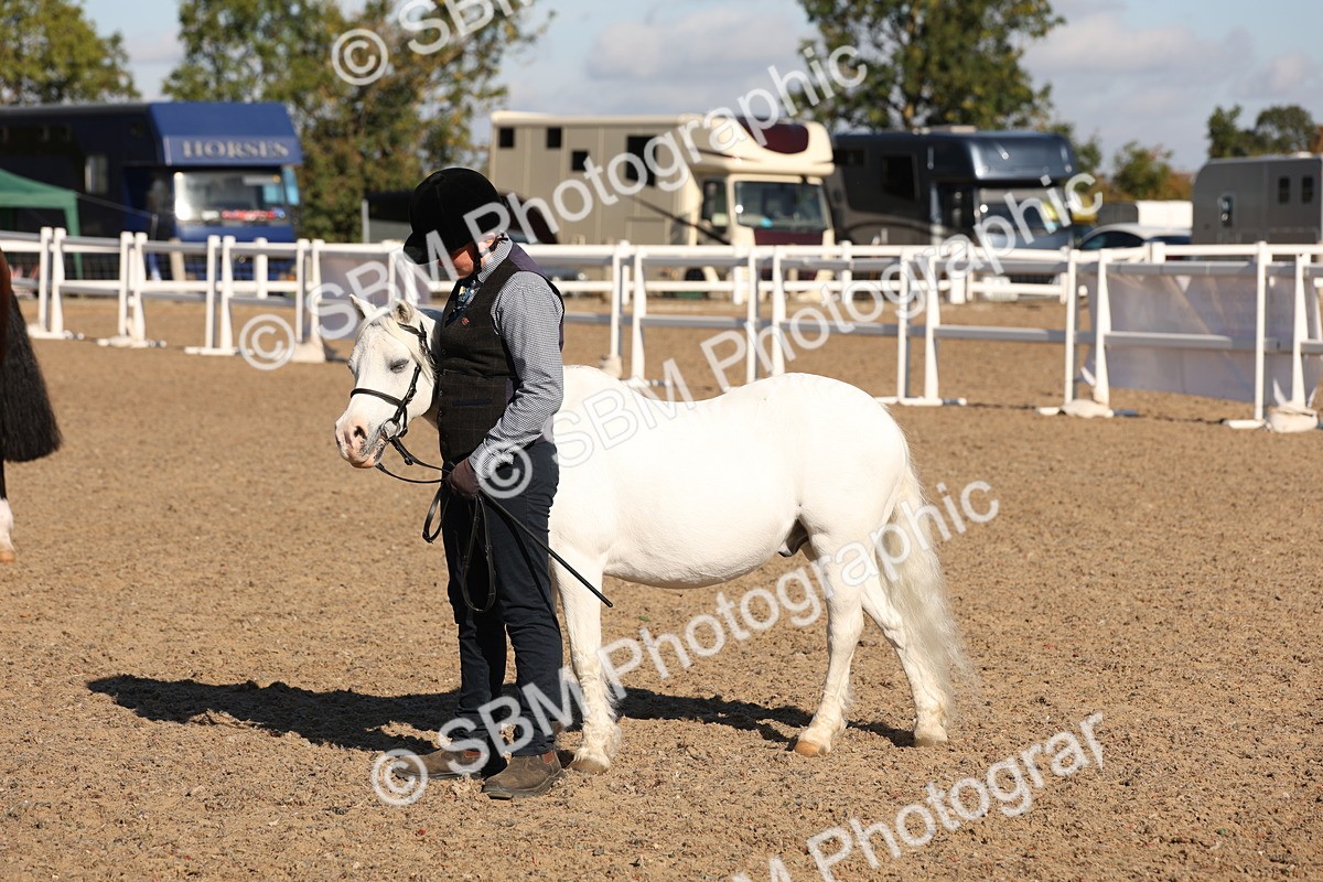 SBM_11756 - Class 204 - Young Handler 11 to 16 years
