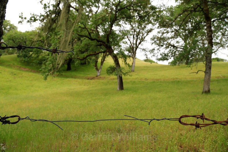 Barbed wire repair - Abandoned Line