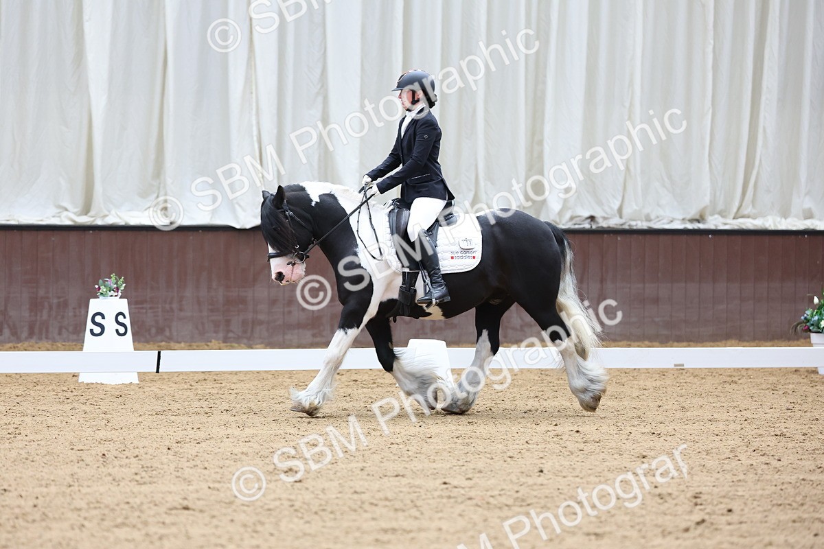 SBM_015988 - Class 15 - Novice FSM - 9.50 - 11.10