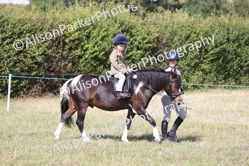 20260906-2740 - Class 25 - Absolute Beginners Pony