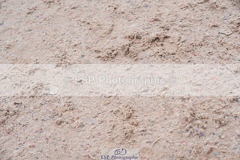 250524-104948-06299 - Cls 20 A&B Snr Brit Nov & 90 Open