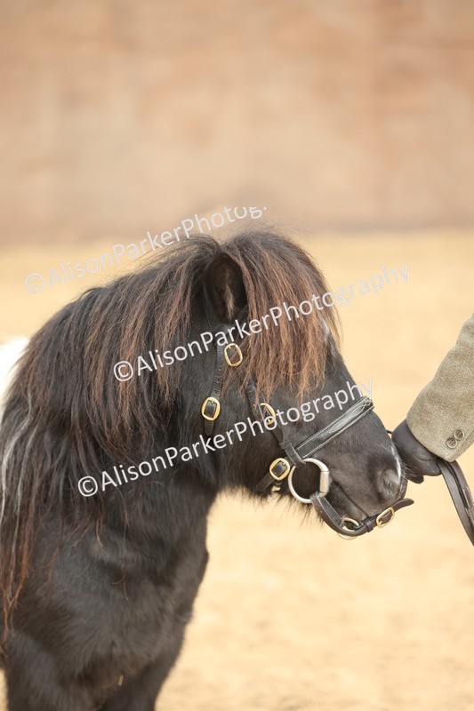 20251109-0406 - Class 15 - Coloureds