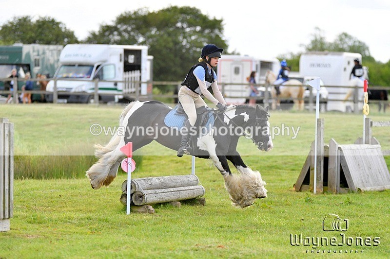 WJ5_2751 - Edited examples