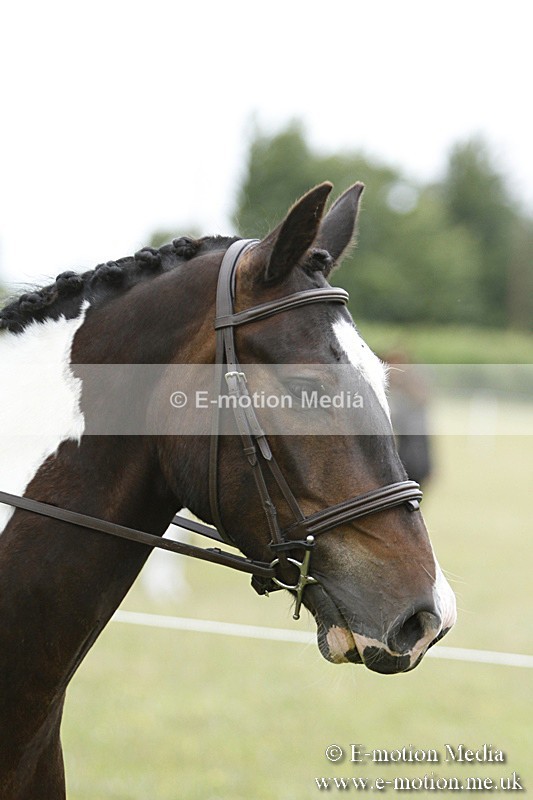 BVR160717-149 - Ring 3 BVRC Show 16/07/17