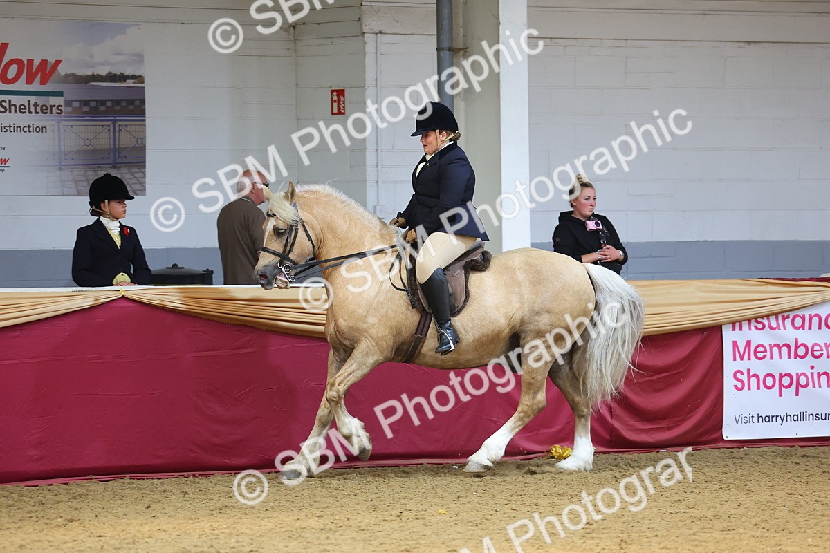 SBM_23953 - Class 905 - Supreme Final - Ridden Veteran