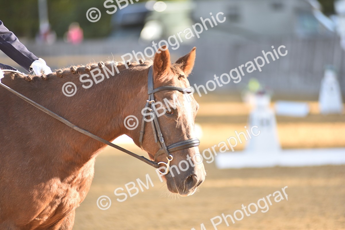 SBM_15714 - D4 - Small Tour Championship Intro 4