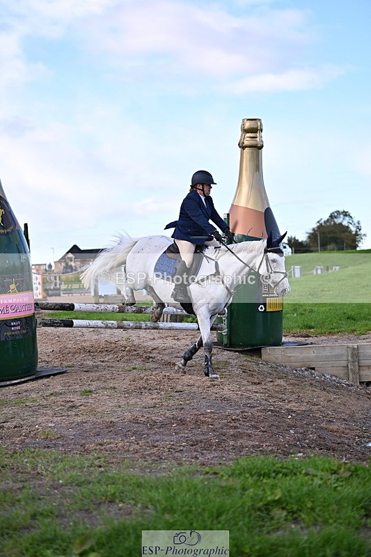 240912A-171912-02706 - Cls 7 Snr 90cm Open Speed Derby