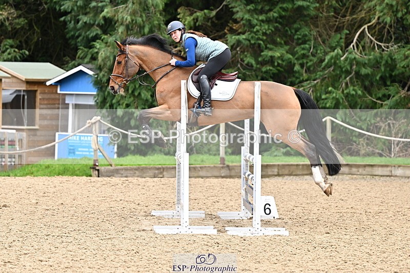 250201A-112131-00388 - Cls 02 Local Horse 100cm