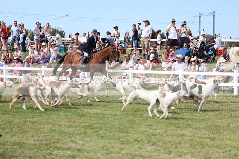 3E7A0160 - Parade of Hounds
