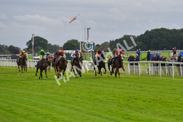 131023-Race 4-Hafeet Alain-9514 - Race 4 3.50pm William Hill Autumn Mile Handicap