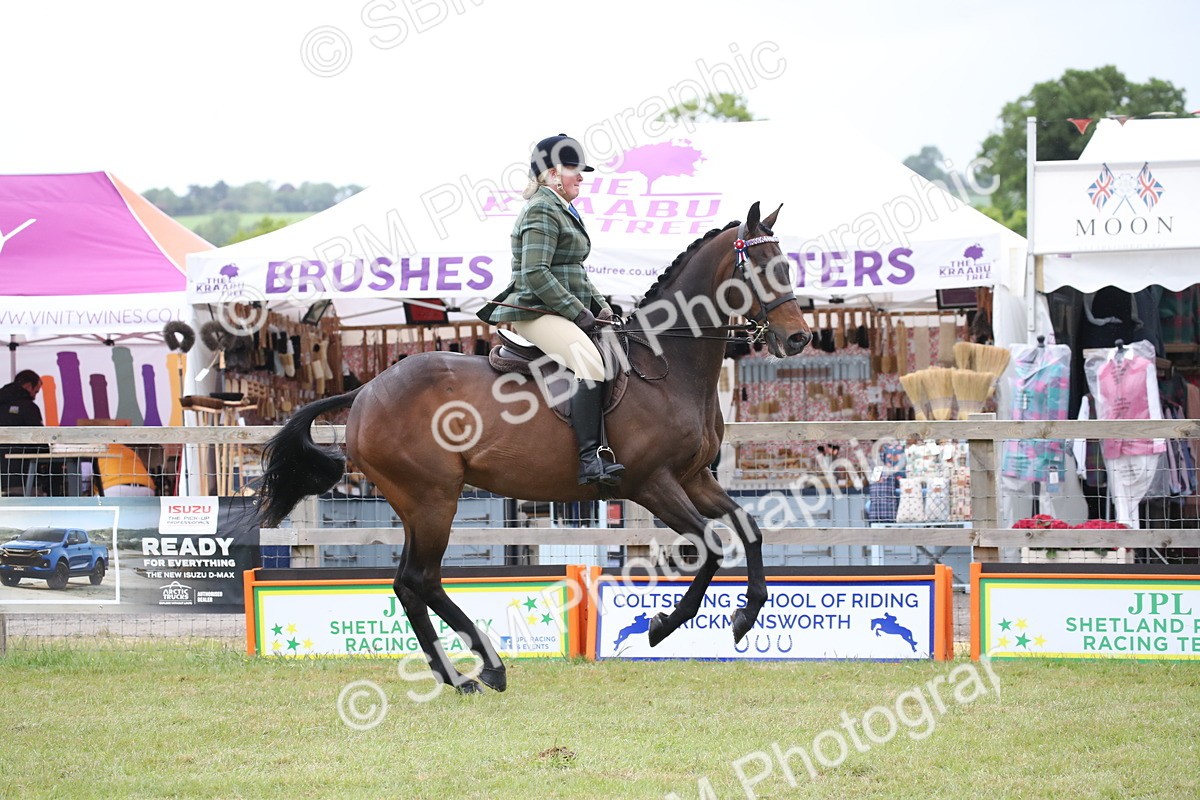 SBM_11422 - Class 94 - LIHS BSHA Racehorse to Showhorse
