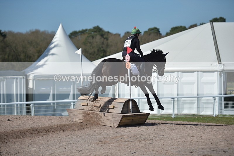 NGP_8129 - XC Time 13:29 to 13:34