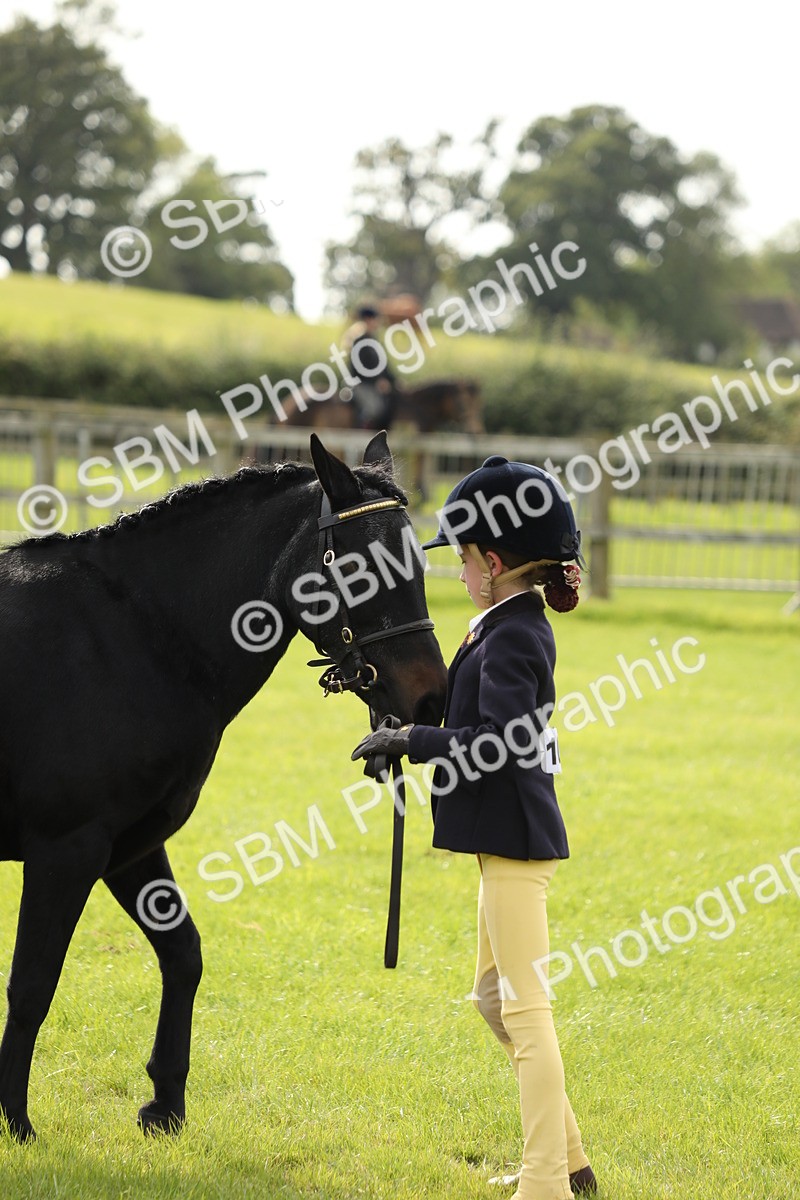 SBM_68727 - S40 - Junior Handler 9-12 Years