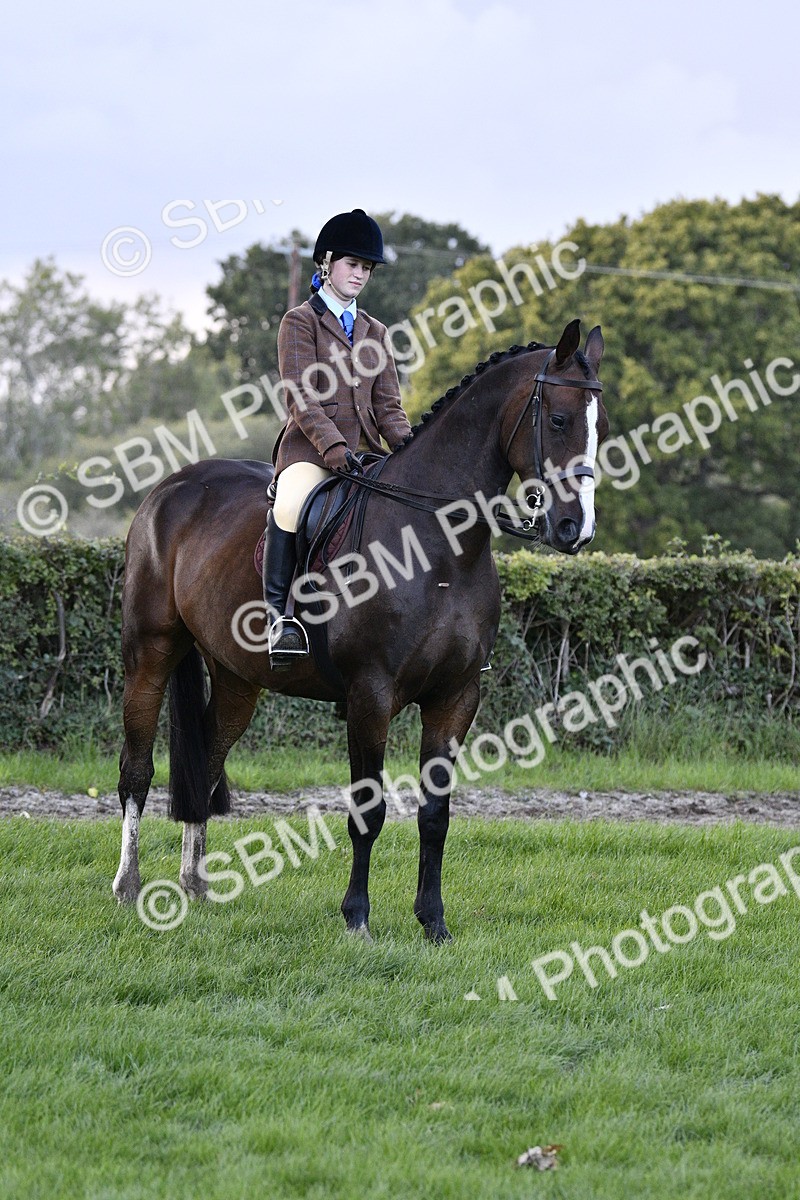 SBM_53603 - S14 - Riding Club Horse