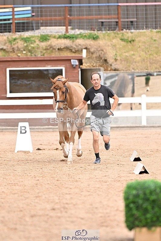 250716-153929-02080 - Trot Up 3.30 to 4.30