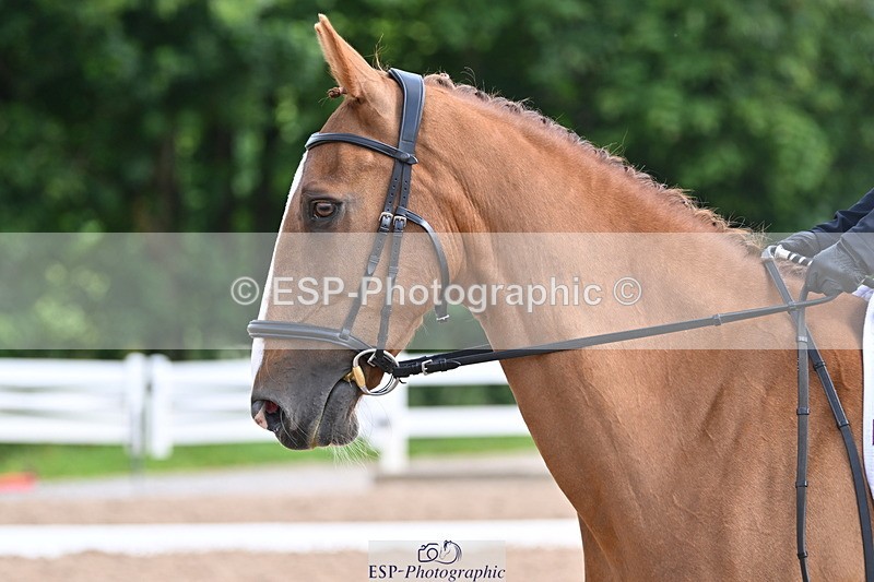 240623A-094424-16306 - Cls 45 BD Prelim 19